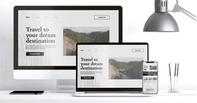 Responsive Views Website